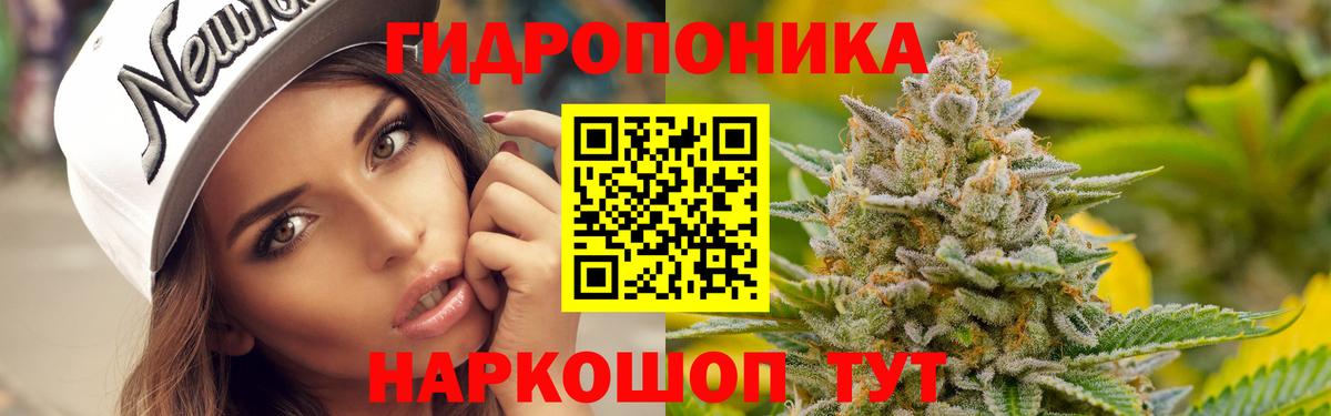 Каннабис план  Вход с VPN  Кудымкар  Шишки марихуана индика 